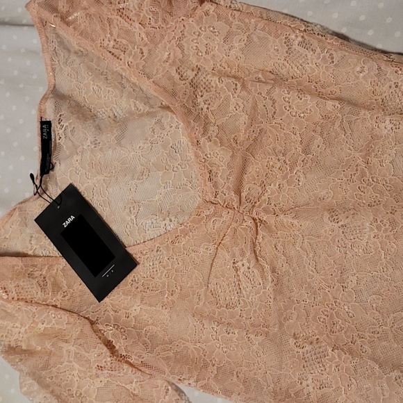 🔶️5 for $30🔶️ Zara Blush Lace Bodysuit - Picture 5 of 6